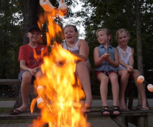 Kids Roasting Marshmallows Around a Fire pit