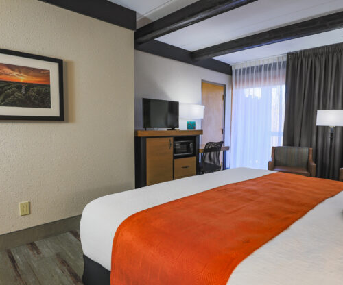 Amenities of a King Room include a coffee maker and a fridge