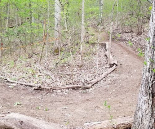 Mountain Biking Trail