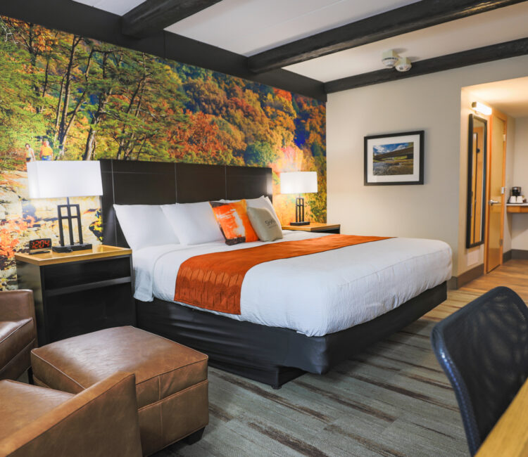 A guest room with a king bed and two chairs next to it. There is wallpaper of a fall nature scene on the wall behind the bed.