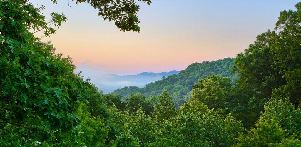 View of the State Park