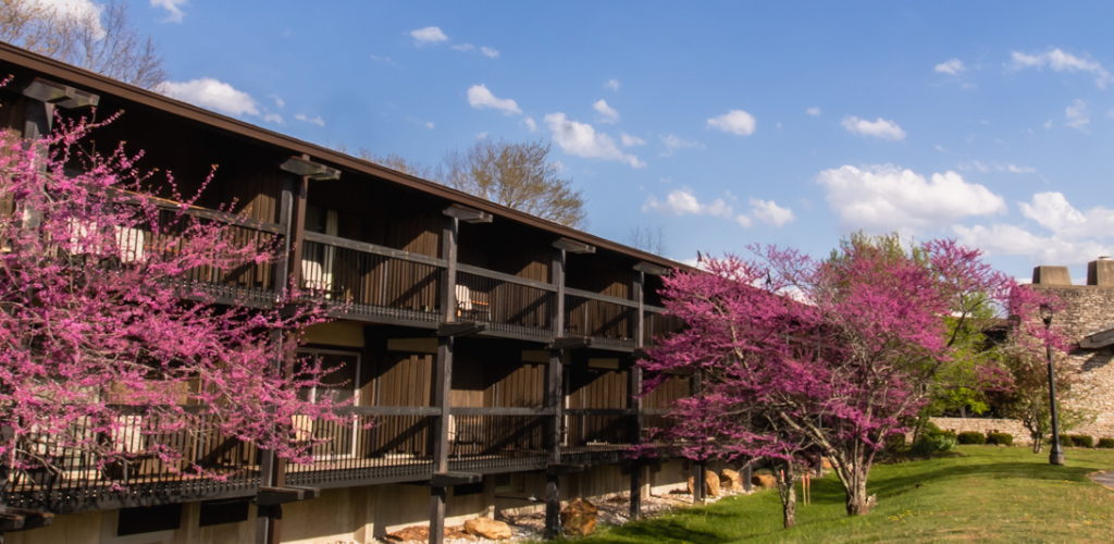 Exterior of Shawnee Lodge. There are balconies overlooking the driveway up to the main entrance with cherry blossom trees in between the building and the street. 