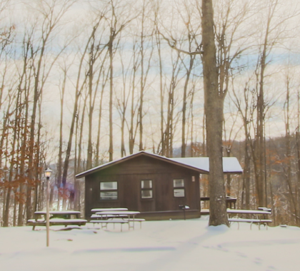 Cabins in the winter