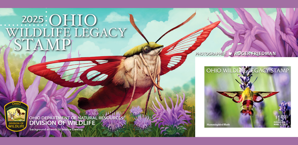 Image of a moth. Text overlay that says, "2025 Ohio Wildlife Legacy Stamp"